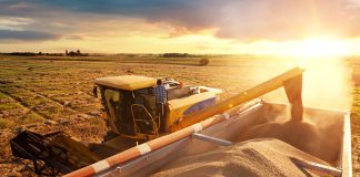 A Deep Dive into USA Agriculture and Farming Industries