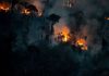 Amazonian Destruction Soars Before Brazil Election