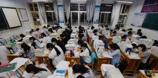 China’s Education System in a Globalized World