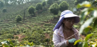 China’s Rural-Urban Divide: Implications for Economic Development