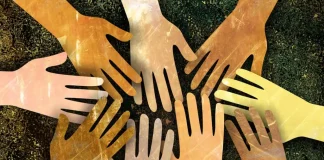 Diversity and Inclusion in Organizations: Strategies for Success