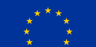 EU Political Parties and Their Platforms: An Overview
