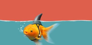 Fake News, Misinformation, and the Politics of Deception
