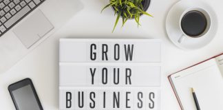 Growth of US Small Businesses and Entrepreneurship