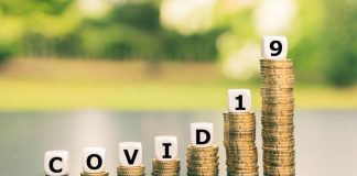 Public Debt and Sovereign Risk