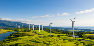 The Development of China’s Green Industries