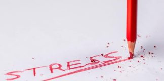 The EU Crisis Management: Approaches and Effectiveness