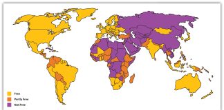 The Evolution of Political Systems in a Globalizing World