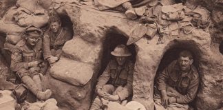 The Impact of War on Society: Historical and Contemporary Perspectives