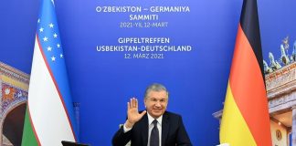 The Role of EU Civil Society in Shaping EU Politics