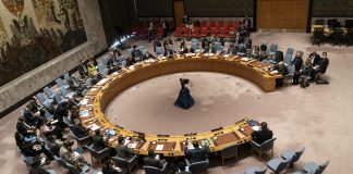 The Role of International Organizations in Global Politics