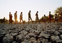 The Role of Natural Resources in Financing Armed Conflicts