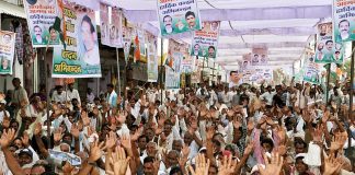 The Role of Political Parties in Different Political Systems