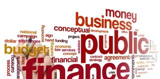 The Role of Public Finance in Economic Development