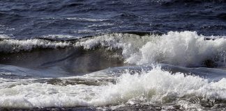 The Taylor Rule and Other Monetary Policy Rules