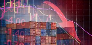 Trade Liberalization: A Review of the Literature