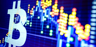 Why Bitcoin’s Brainchildren Face Vastly Different Fates