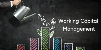 Working Capital Management: Strategies and Techniques