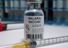 World’s First Malaria Vaccine Gets WHO Backing