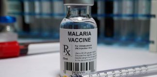 World’s First Malaria Vaccine Gets WHO Backing
